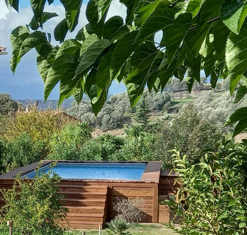 L'Alivu Villa Ajaccio  Exterior foto